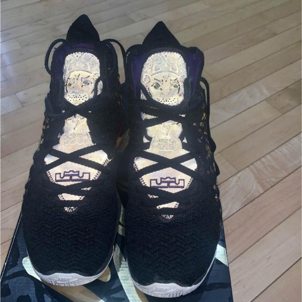 LeBron XVII Basketball Shoes.
